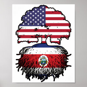 Costa Rica Costa Rican American USA Träd Roots Poster