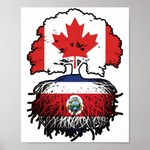Costa Rica Costa Rican Canadian Canada Träd Roots Poster