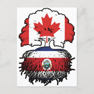 Costa Rica Costa Rican Canadian Canada Träd Roots Vykort
