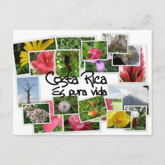 Costa Rica es Pura Vida! Vykort