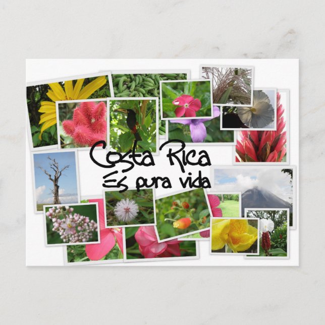 Costa Rica es Pura Vida! Vykort (Framsida)