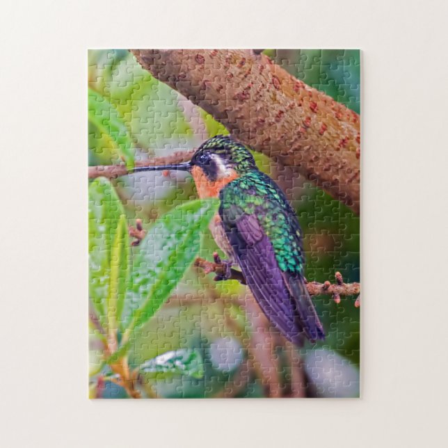 Costa Rica fågel - Eldstrupig kolibri Pussel (Vertikal)