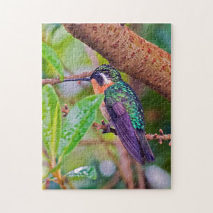 Costa Rica-fågel - Fiery-throated Hummingbird Pussel