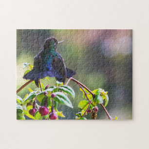 Costa Rica-fågel - Fiery-throated Hummingbird Pussel