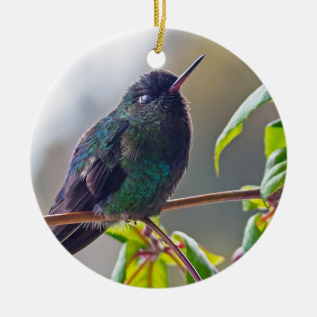 Costa Rica-fågel - torkad hummerfågel Julgransprydnad Keramik (Framsidan)