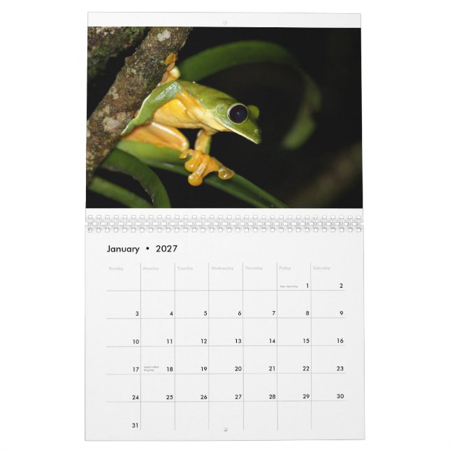 Costa Rica grodakalender Kalender (Jan 2027)