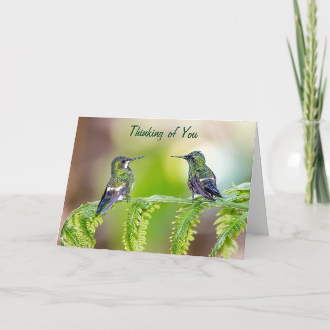 Costa Rica Grönt Hummingbird Tankar på dig Kort (Framsida)