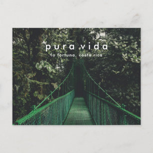 Costa Rica Hanging Bridges Canopy Postcard Vykort