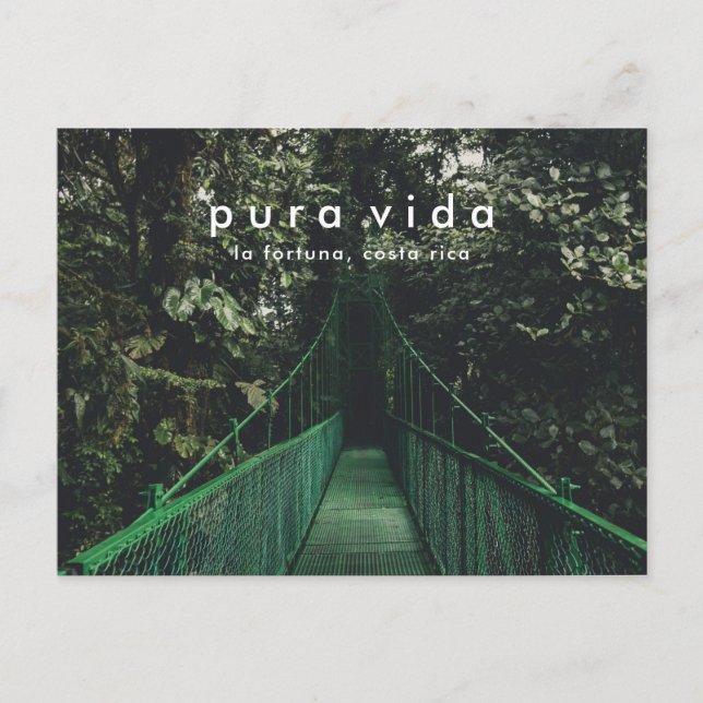 Costa Rica Hanging Bridges Canopy Postcard Vykort (Framsida)