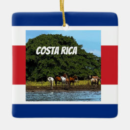 Costa Rica - Hästar vid Vatten Julgransprydnad Keramik