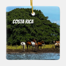 Costa Rica - Hästar vid Vatten Julgransprydnad Keramik