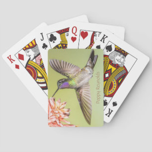 Costa Rica Hummingbird som flyger till en blomma Casinokort