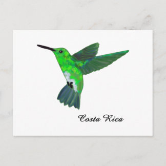 Costa Rica Hummingbird Vykort