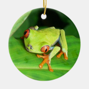 Costa Rica Julgransprydnad Keramik