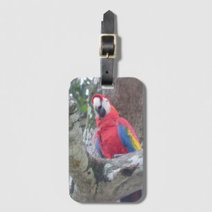 Costa Rica Jungle Bird Luggage Tag Bagagebricka