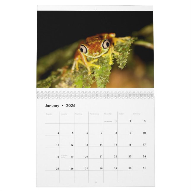 Costa Rica kalender (Jan 2026)