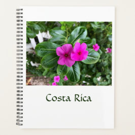 Costa Rica Lila Flower Planner