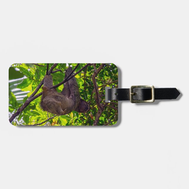 Costa Rica - Lycklig Lazy Sloth, Antonio Manuel NP Bagagebricka (Horisontell Framsida)