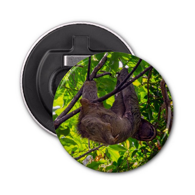 Costa Rica - Lycklig Lazy Sloth, Antonio Manuel NP Flasköppnare (Framsidan)