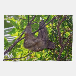 Costa Rica - Lycklig Lazy Sloth, Antonio Manuel NP Kökshandduk