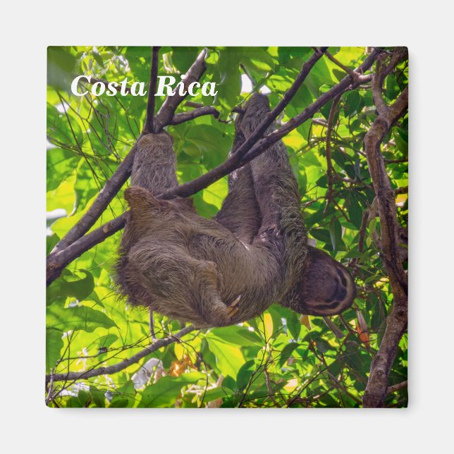 Costa Rica - lycklig Sloth Magnet (Framsidan)