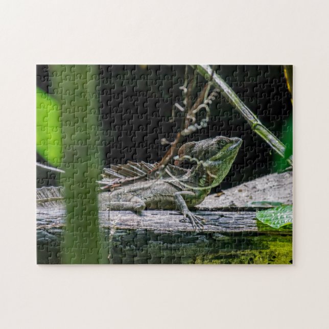 Costa Rica - Male Emerald Basilisk Lizard Pussel (Horisontell)