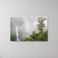Costa Rica, molnskog i bergen nära La