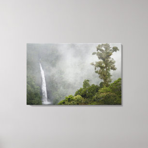 Costa Rica, molnskog i bergen nära La Canvastryck