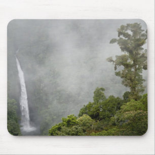 Costa Rica, molnskog i bergen nära La Musmatta