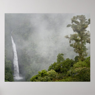 Costa Rica, molnskog i bergen nära La Poster