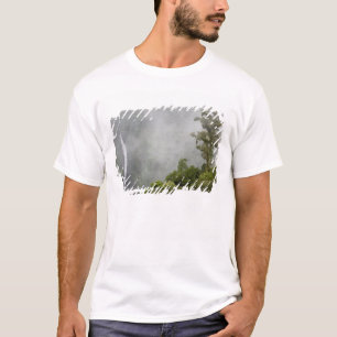 Costa Rica, molnskog i bergen nära La T-shirt