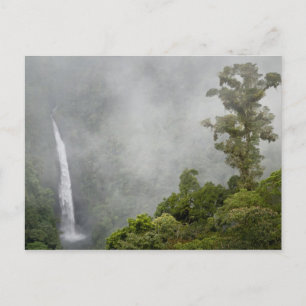 Costa Rica, molnskog i bergen nära La Vykort