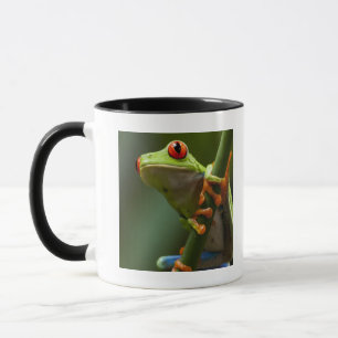 Costa Rica Monteverde, Röd-Synad trädgroda Mugg