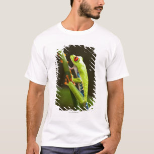 Costa Rica Monteverde, Röd-Synad trädgroda Tee Shirt