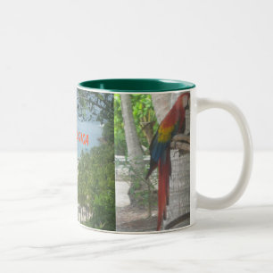 Costa Rica mugg