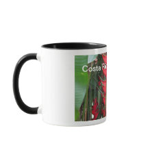 Costa Rica mugg