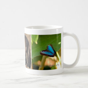 Costa Rica mugg