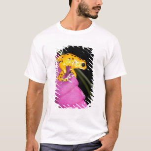 Costa Rica. Närbild på pilgiftsgroda T Shirt