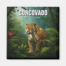 Costa Rica nationalpark Travel Jaguar
