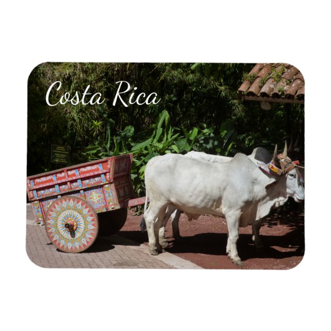 Costa Rica Oxcart Magnet (Horisontell)