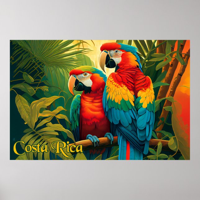 Costa Rica Parrots Poster (Framsidan)