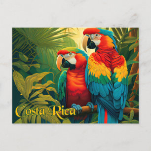 Costa Rica Parrots Vykort