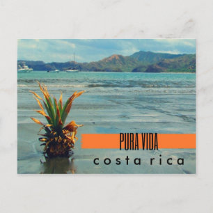 Costa Rica Pineapple på Beach Postcard Vykort