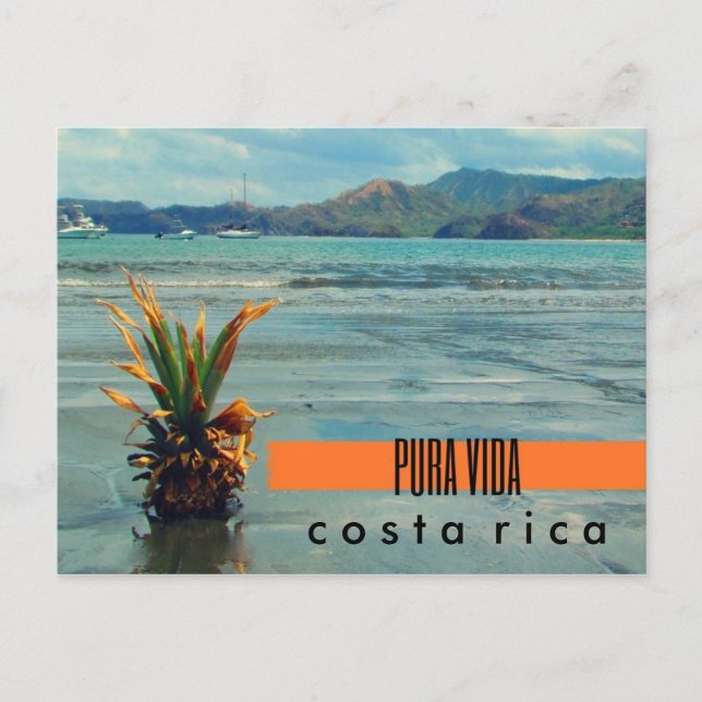 Costa Rica Pineapple på Beach Postcard Vykort (Framsida)