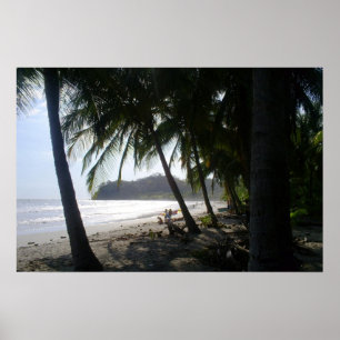 Costa Rica Playa Samaraaffisch Poster