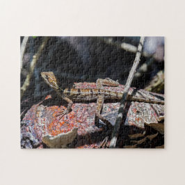 Costa Rica, Punta Cahuita - Female basilisk Lizard Pussel