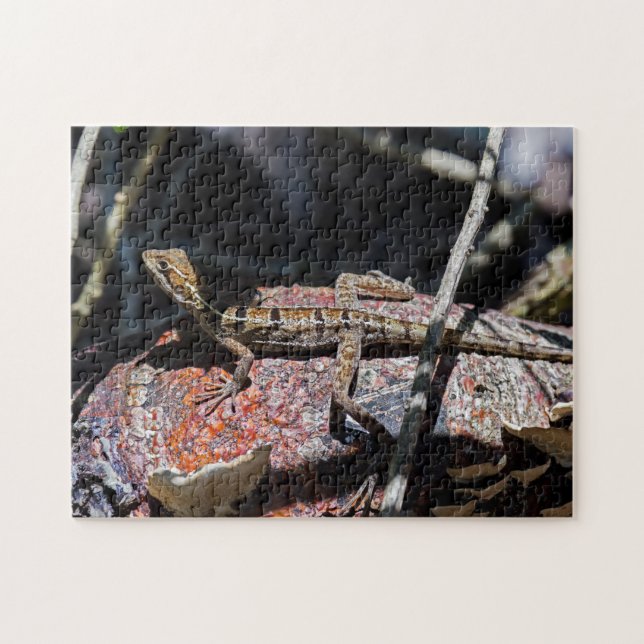 Costa Rica, Punta Cahuita - Female basilisk Lizard Pussel (Horisontell)