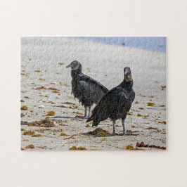 Costa Rica, Punta Cahuita - Svart gamar Pussel