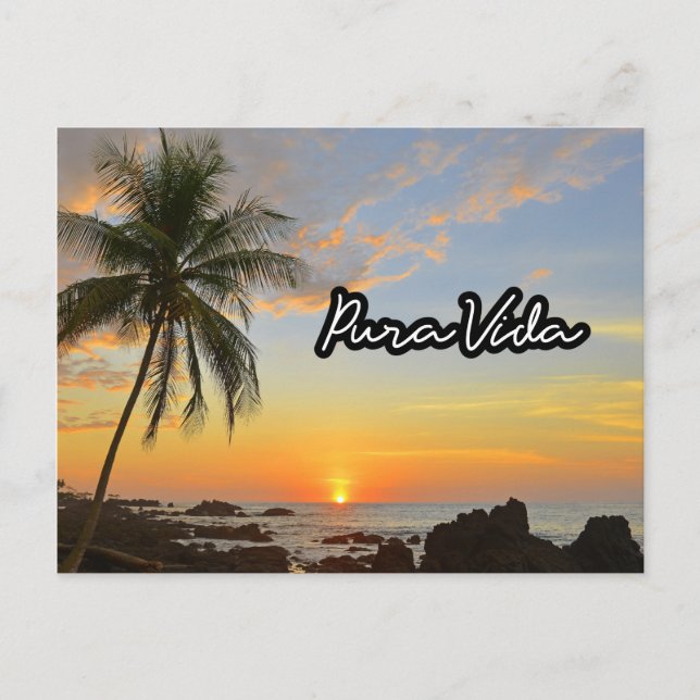 Costa Rica Pura Vida Beach Souvenir Vykort (Framsida)