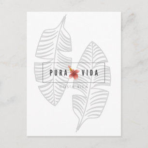 Costa Rica Pura Vida Hibiscus Flower vycard Vykort